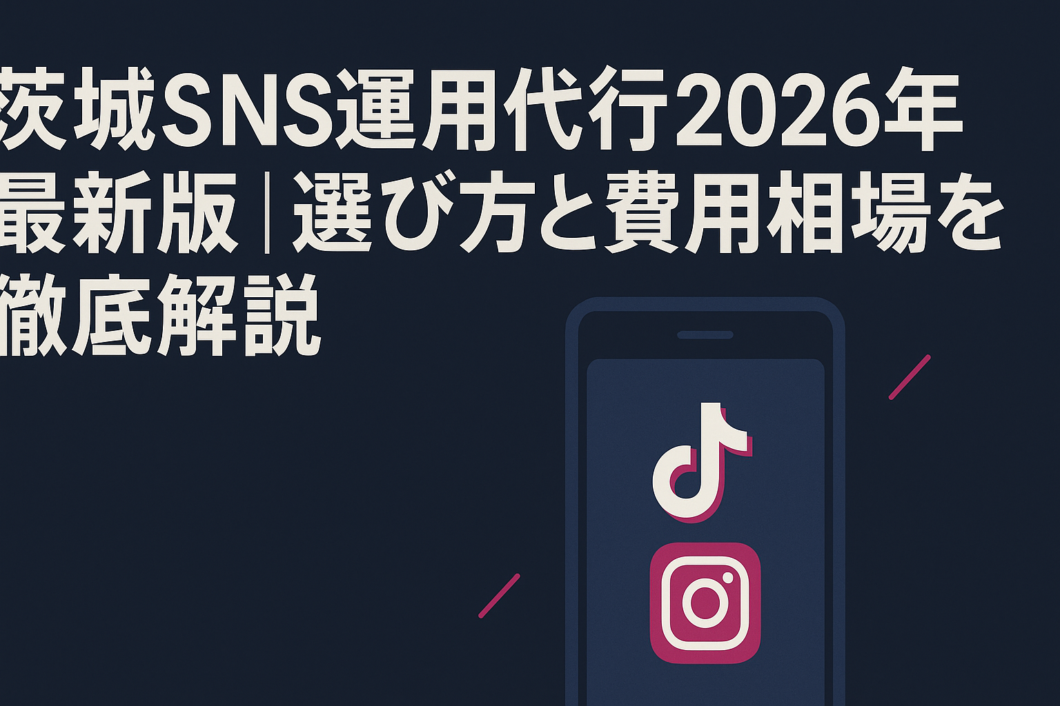 ibaraki-sns-management-cost-guide